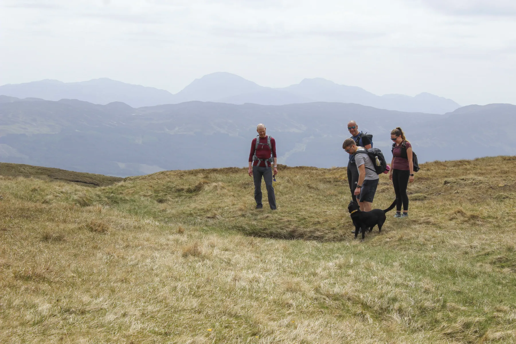 Thomson Gray members of the team out on a hillwalking day in Scotland. Three men and a woman, with a black labrador dog, are high up with views to hills behind.