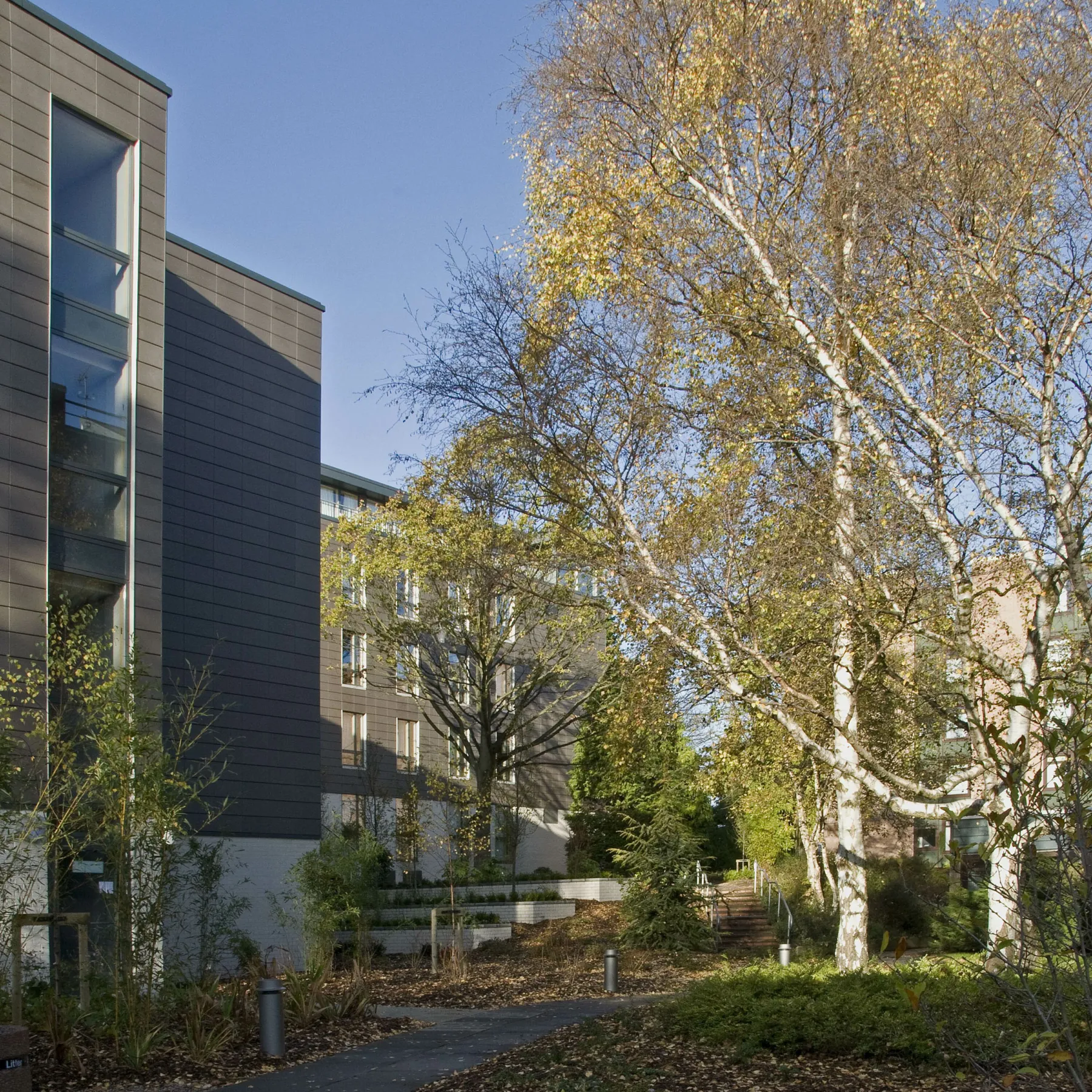 Student accommodation at Pollock Halls, University of Edinburgh - John Burnett House. Pale brick ground floor with bronze coloured cladding on the storeys above. The building is set within landscaped grounds with mature trees.